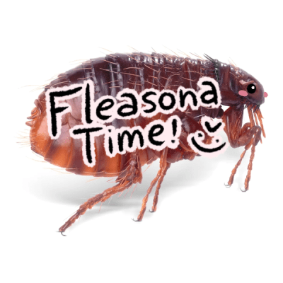 flea birthing simulator