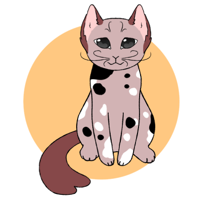 cat maker | Picrew - The Character Maker & Creator