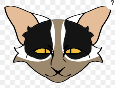Mad Cat Creator
