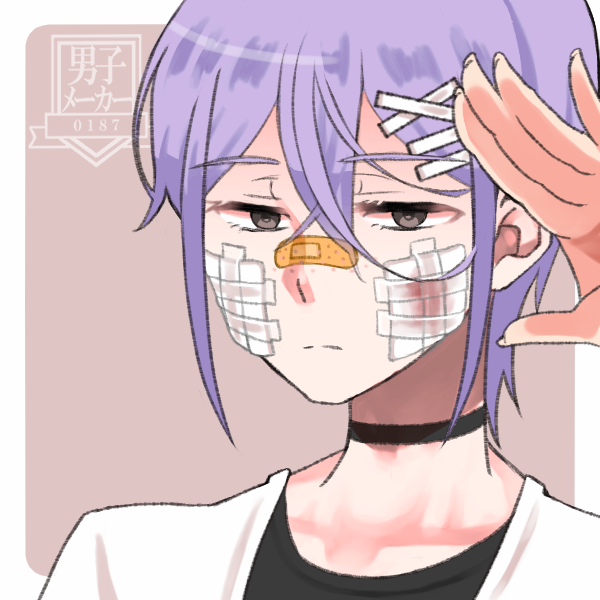 完成画像