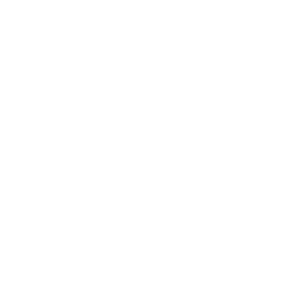完成画像