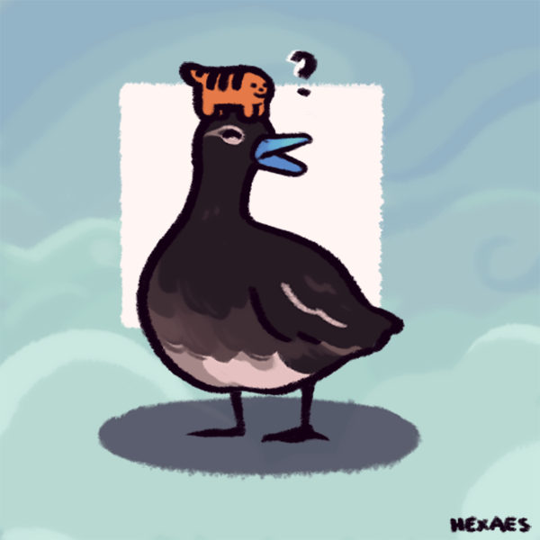 完成画像